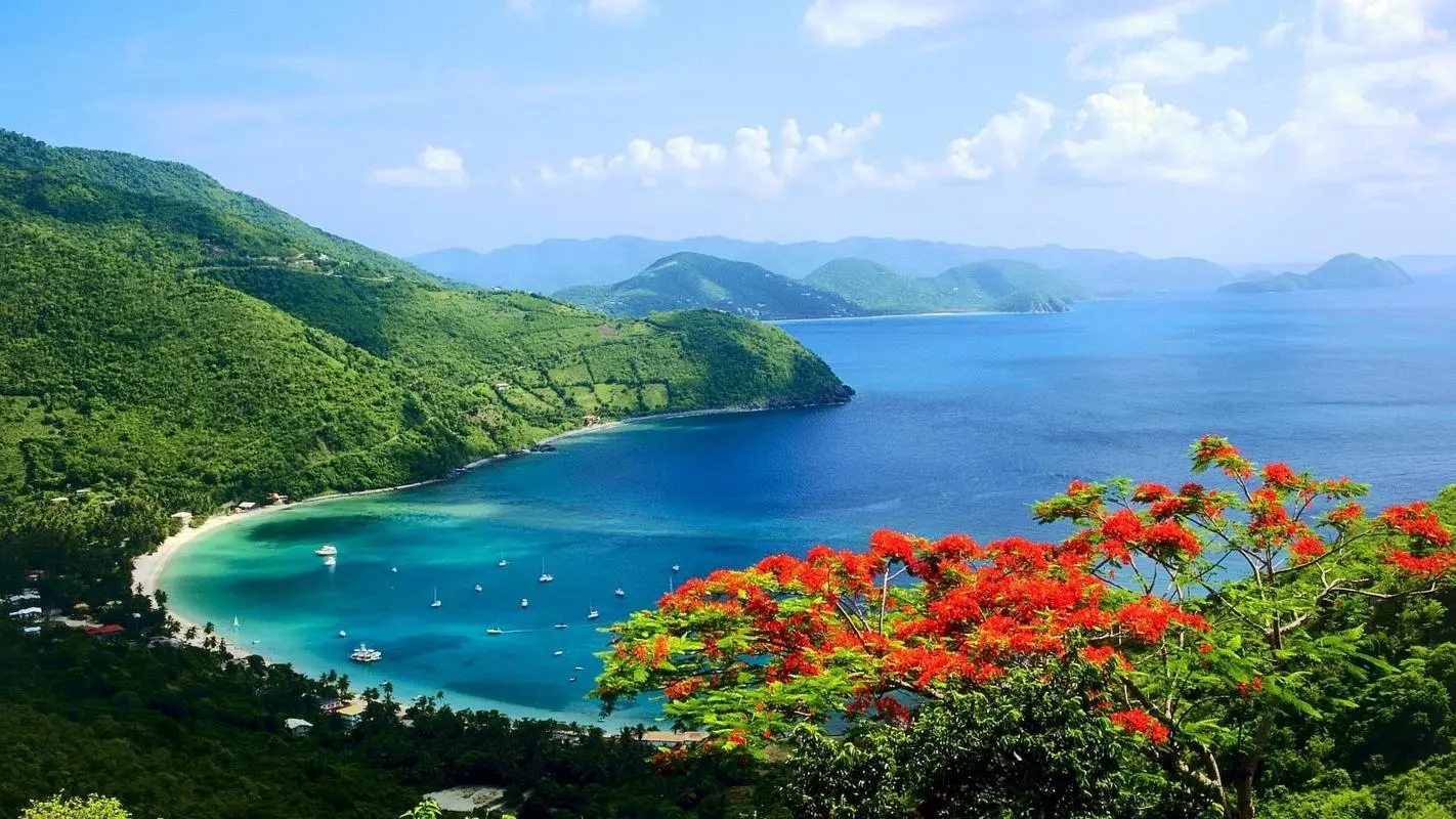 高性能智能独特